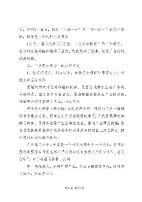 乡镇支部加协会试点活动工作方案.docx