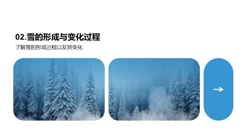 雪的奥秘与影响