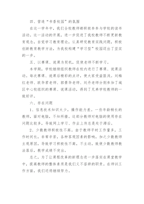 学校师训工作总结.docx