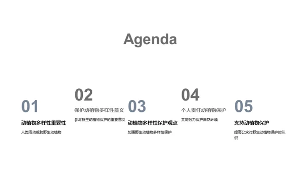 3D风其他行业教育活动PPT模板