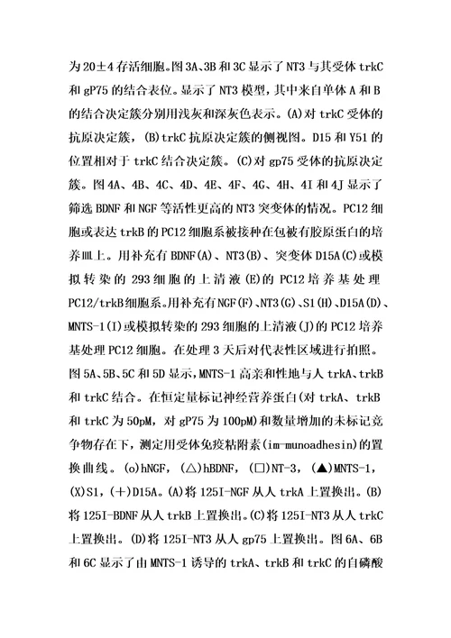 泛向神经营养因子的制作方法