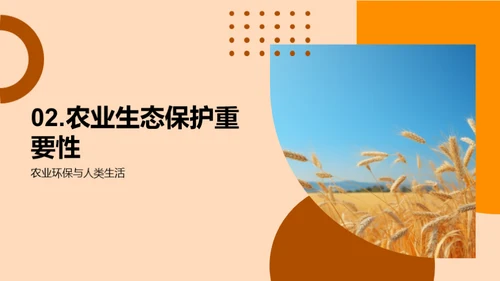 农业生态保护策略