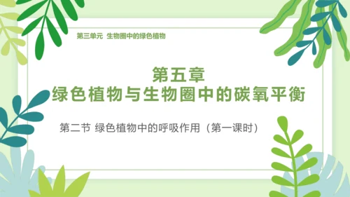 3.5.2 绿色植物的呼吸作用-2023-2024学年七年级生物上册优质课件（人教版）(共18张PP