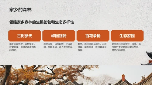 灰色复古风走进我的家乡文化之旅PPT模板