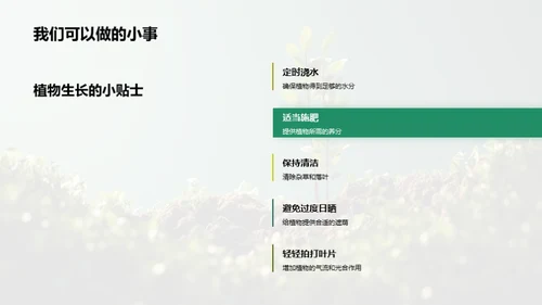 揭秘植物生长之谜