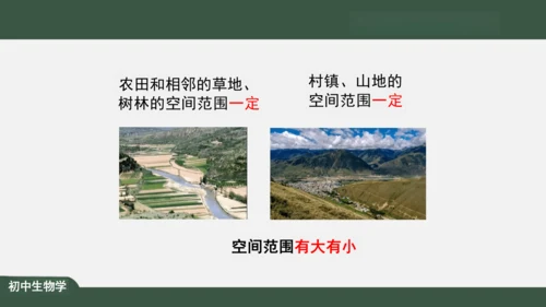 1.2.2 生物与环境组成生态系统 课件（共30张PPT）
