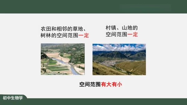 1.2.2 生物与环境组成生态系统 课件（共30张PPT）