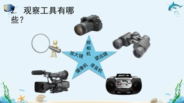 1.1《认识生物》复习课件(18张PPT)