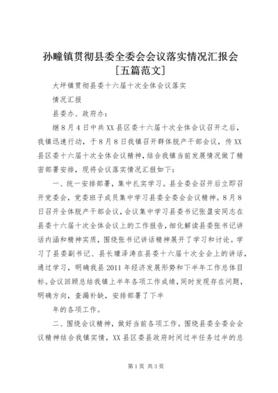 孙疃镇贯彻县委全委会会议落实情况汇报会[五篇范文] (2).docx