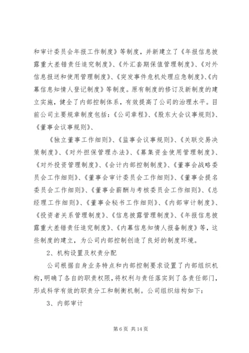 企业内部控制审计报告(1)精编.docx