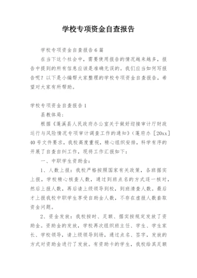 学校专项资金自查报告.docx