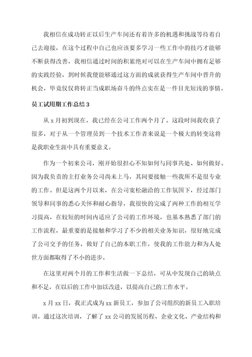 员工试用期工作总结范例