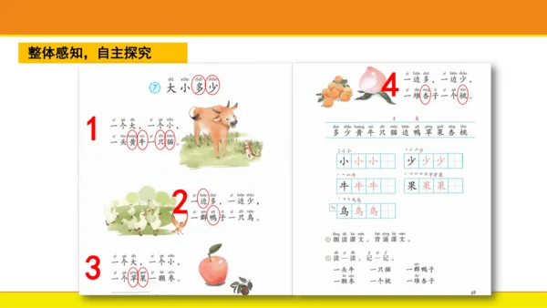 7 大小多少  课件