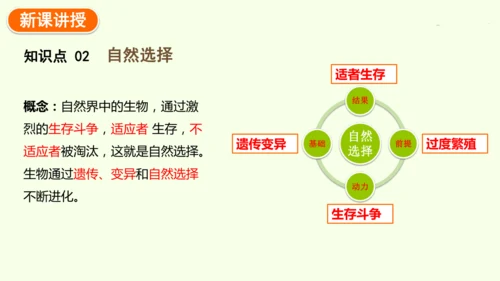 7.3.3生物进化的原因-八年级生物人教版下学期同步精品课件(共44张PPT)