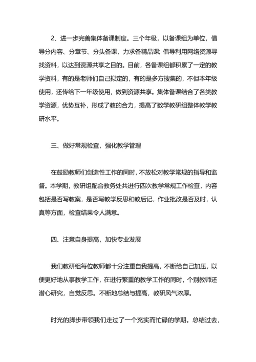 初中数学教研组工作总结.docx