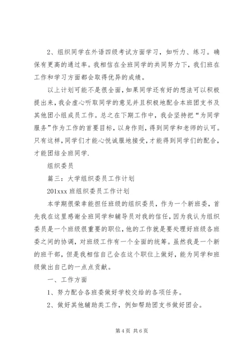 组织委员工作计划 (11).docx