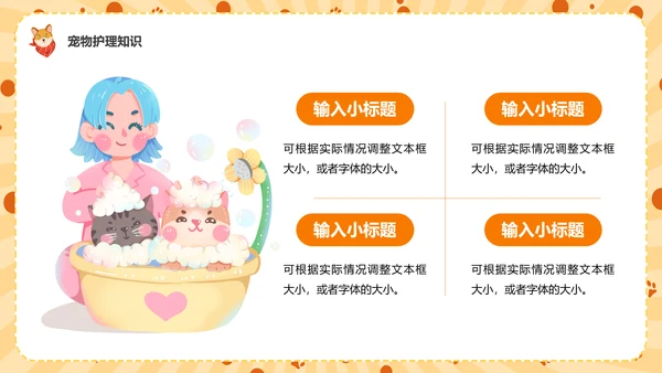 猫咪，宠物健康管理PPT模板