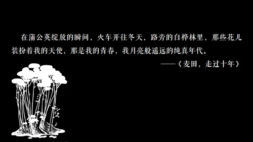 高晓松如丧ppt读书笔记