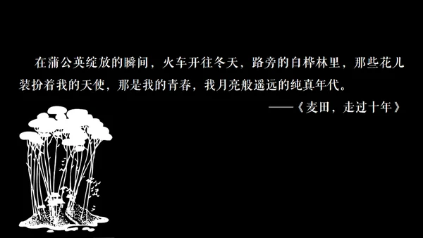 高晓松如丧ppt读书笔记