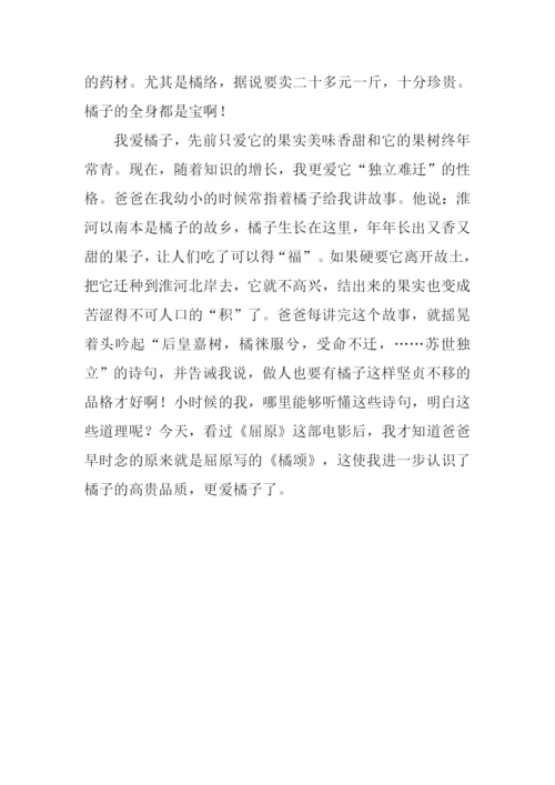黄岩蜜桔作文.docx