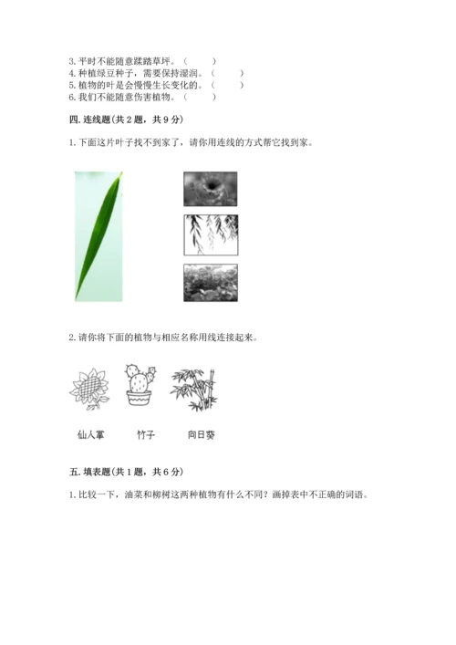 教科版科学一年级上册第一单元《植物》测试卷含答案（能力提升）.docx