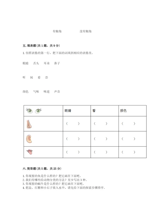 教科版小学科学一年级下册期末测试卷附答案（培优b卷）.docx