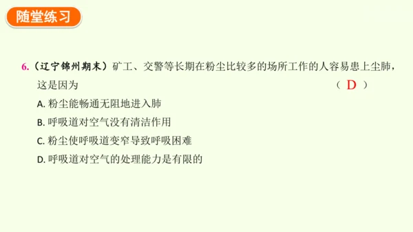 4.3.1 呼吸道对空气的处理-七年级生物下学期同步精品课件（2024人教版）(共26张PPT)