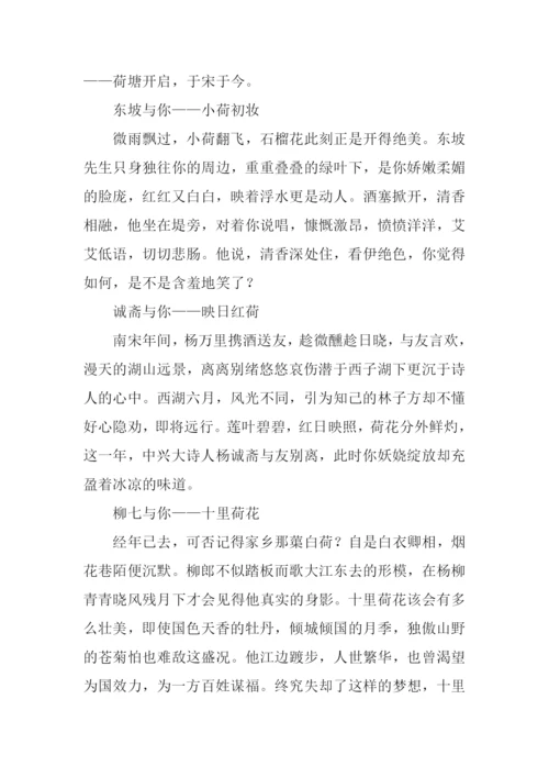 关于荷花的作文.docx