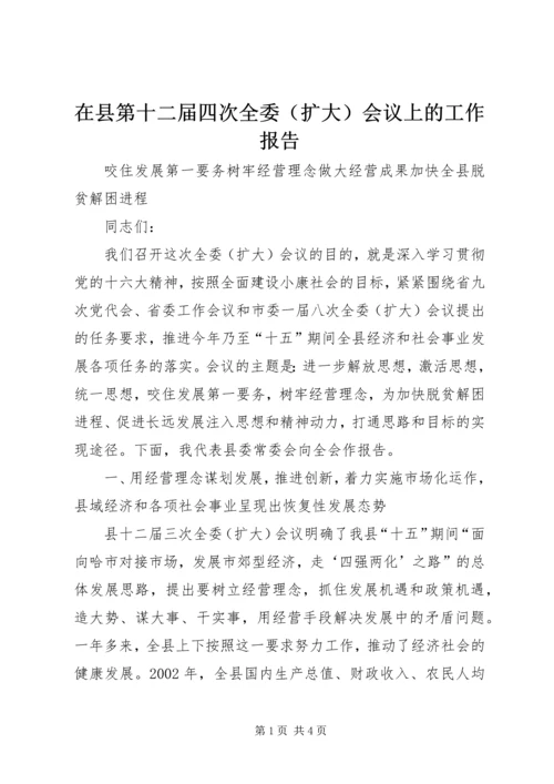 在县第十二届四次全委（扩大）会议上的工作报告 (3).docx