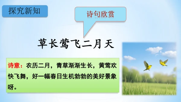 1古诗二首  村居  (教学课件)