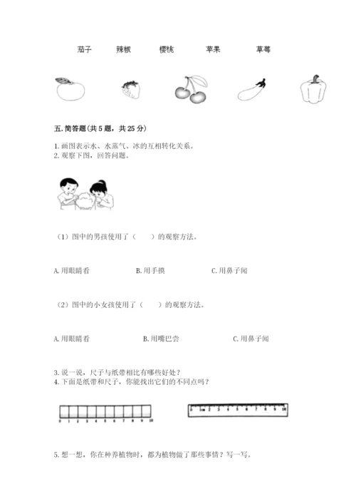 教科版一年级上册科学期末测试卷及答案【基础+提升】.docx