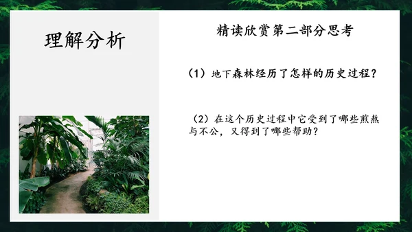 地下森林作家张抗抗作品解读PPT课件