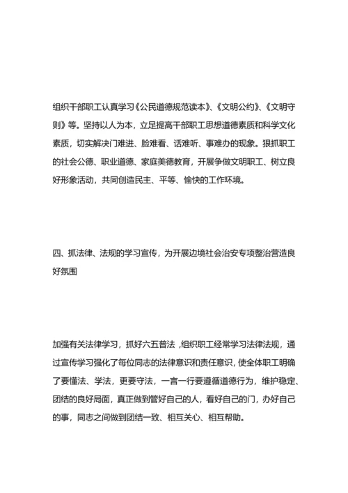 边境地区社会治安集中整治行动工作总结.docx