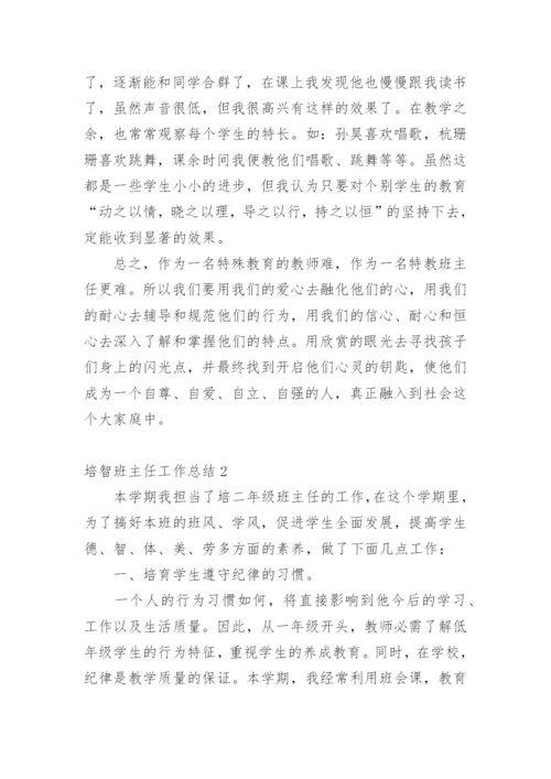 培智班主任工作总结.docx