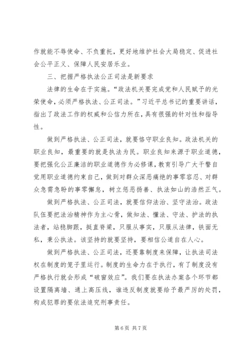 学习XX年政法工作会议精神心得体会 (3).docx