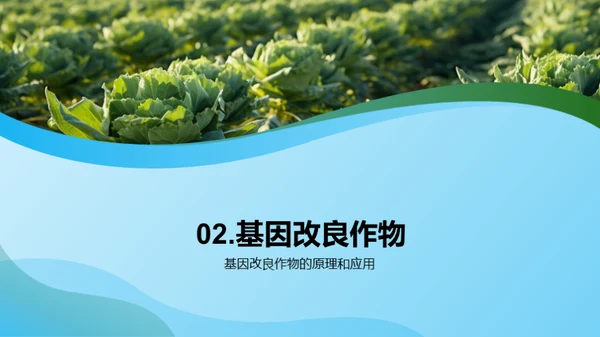 生物技术在农业中的应用