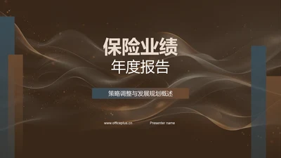 保险业绩年度报告