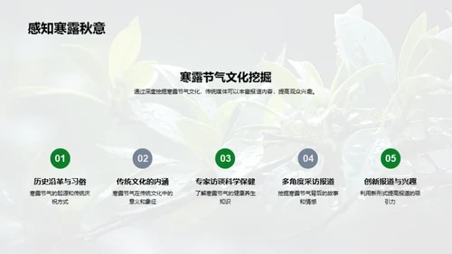 寒露节气文化探寻