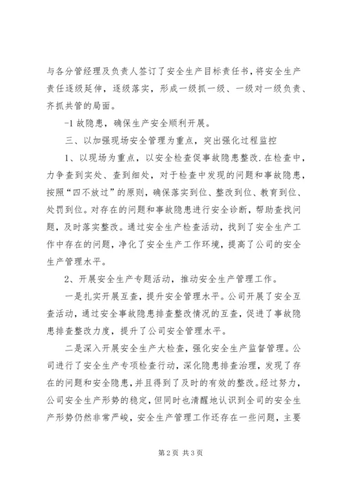 安全主体责任年汇报 (3).docx