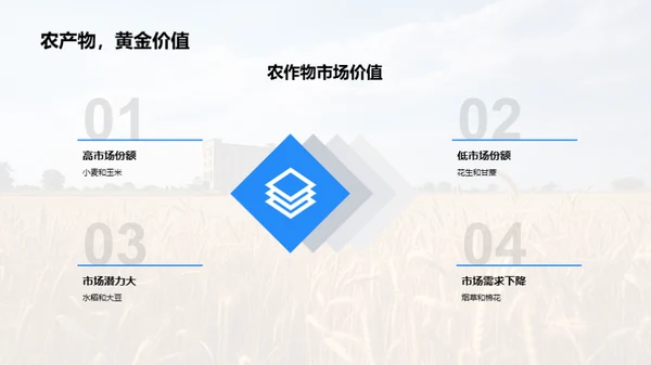 农业收益优化策略