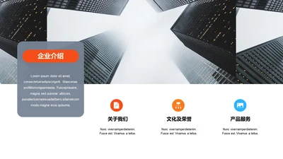多色扁平3项企业介绍