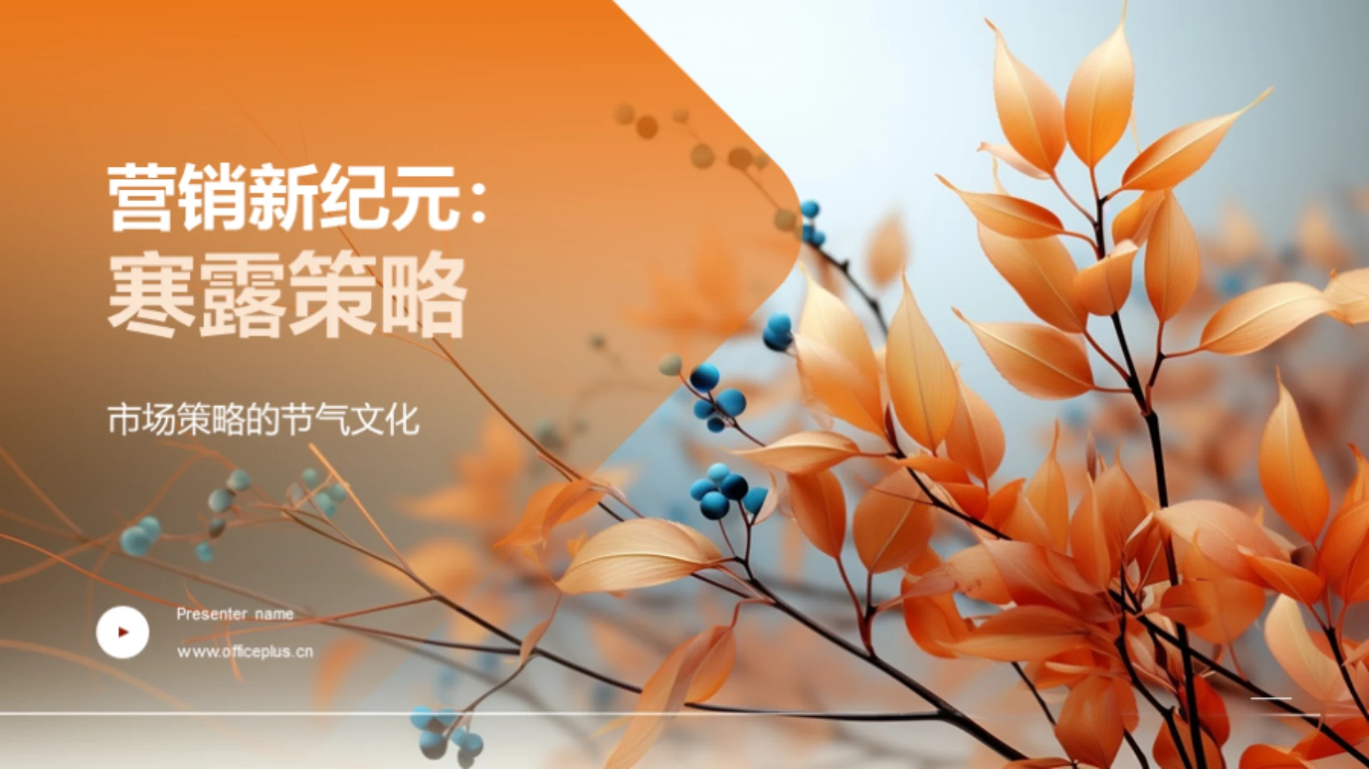 营销新纪元:寒露策略