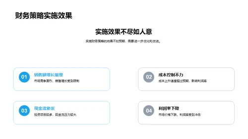 财务策略全面解析