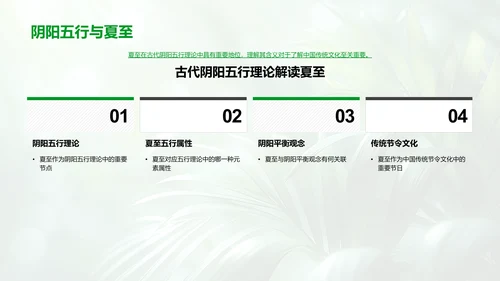 夏至习俗解析讲座