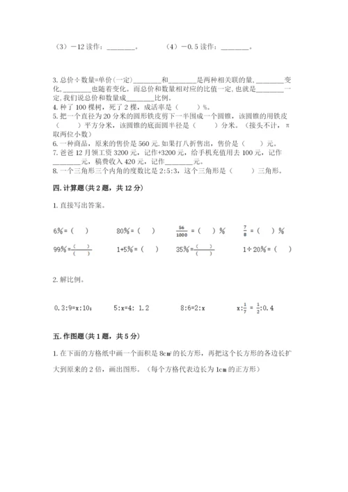 北京版六年级下册数学期末测试卷【历年真题】.docx