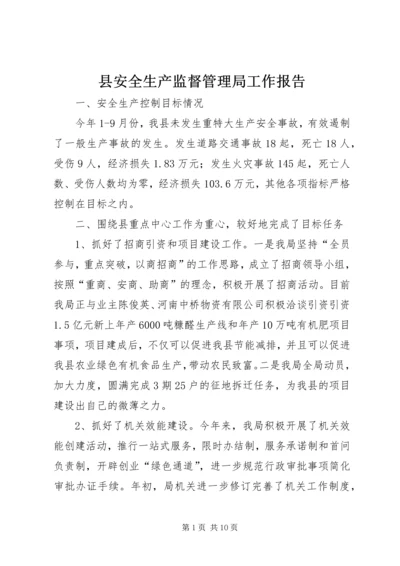 县安全生产监督管理局工作报告.docx