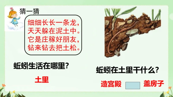 识字（二）5动物儿歌（课件）