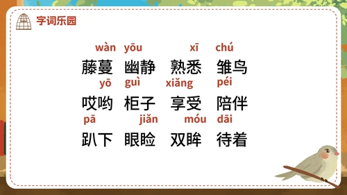 部编版语文五年级上册《珍珠鸟》课件