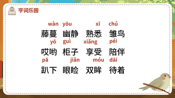 部编版语文五年级上册《珍珠鸟》课件