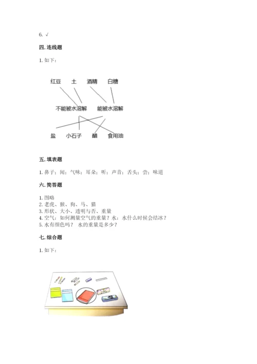 教科版小学科学一年级下册期末测试卷（有一套）.docx